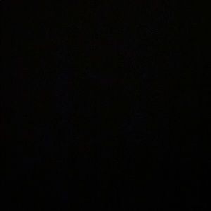 Meet your Posher, Chandler